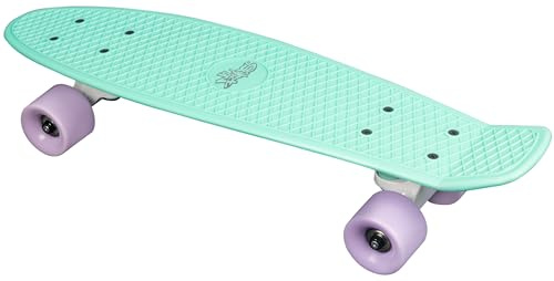 Skateboard Fun, No Rules