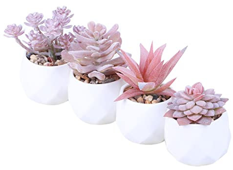 Muzrunq Plantes Succulentes Artificielles Intérieures - Rose Fausse Plante de Bureau Mini en Pots pour Maison et Table 4pcs