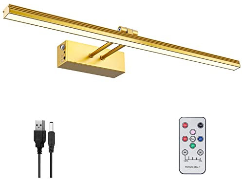 FUNCHDAY Luce per quadri, luci artistiche a batteria per parete, luce per pittura a distanza senza fili con timer e dimmerabile, illuminazione display in metallo da 50,8 cm, per opere d'arte, ritratti