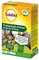 SOLABIOL Traitement D'Hiver & De Fin D'Hiver - 500ml - Traitement Préventif - Elimine Œufs & Larves - Jusqu'à 25L De Solution SOHIV500N