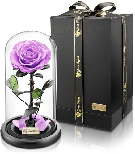 YourRoses® echte Premium Rose im Glas mit Einer wunderschoenen Geschenkbox | Lange Haltbarkeit & edles Geschenk als Liebesbeweis | EIN Geschenk vom Herzen