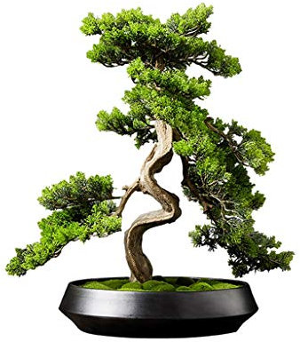 Künstlicher Bonsai Künstliche Zedern-Bonsai-Bäume, gefälschte Topfpflanzen, for den Innenbereich, immergrün, for Zuhause, Büro, Tisch, Feng Shui, Gründekoration, künstlicher Topf Künstliche Zimmerpfla