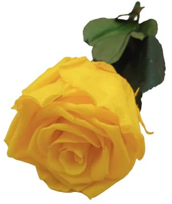Genérico Rose éternelle jaune. Rose jaune éternelle. Fleur préservée. Fleurs préservées. Cadeau original. Fabriqué en Espagne.