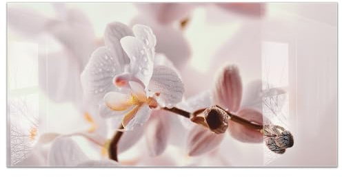 timalo Küchenbild aus Acrylglas modernes Wandbild Glasbild Deko Küche XXL Bild wie Glas | 120x60cm Orchidee, Blüten Makro, zarte Pastellfarben, elegante Blume, Naturmotiv, Wellness