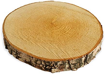 Große Holzscheibe zum Basteln oder Dekorieren - 1 Stück naturbelassene Baumscheibe aus Birkenholz mit 20 - 25 cm Durchmesser - runde Holz Birkenscheibe als Deko Holzplatte Holzdeko