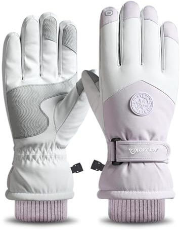 Winterhandschuhe Herren Damen, Thermo Fahrradhandschuhe, wasserdichte Warme Touchscreen WinterHandschuhe, Winter Handschuhe Damen, Sporthandschuhe für Snowboard Ski Outdoor Laufen Wandern (Lila)