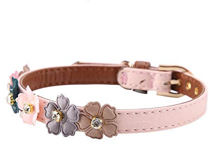 Hundehalsband, Wasserdichtes Hundehalsband Wild One Hundehalsband, Verstellbares Haustierhalsband, Verstellbare, Geruchsdichte Hundehalsbänder Mit Einer Größe, die über eine