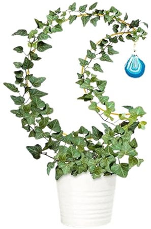 Planta Enrejado - Marco De Media Luna, Colgante De Ágata | Soporte Decorativo De Jardín Interior Para Plantas En Macetas, Elegante Escalador De Vides Para La Decoración Del Balcón, Accesorio De Planta