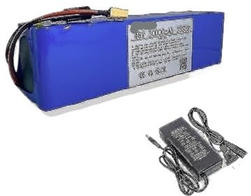 TIEOAXFT Batteria for Bicicletta elettrica 48v 30Ah 18650 Pacco Batteria al Litio 13 Serie 3 Parallelo + caricabatteria(13S3P30000XT60+DC)