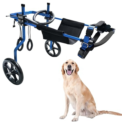KAJILE Justerbar 2-hjuls hundvagn, XXL-2 storlek för rehabilitering av funktionshindrade Hund Bakben, passform Höjd 55-70cm, bredd 24-32cm, längd 35-45cm