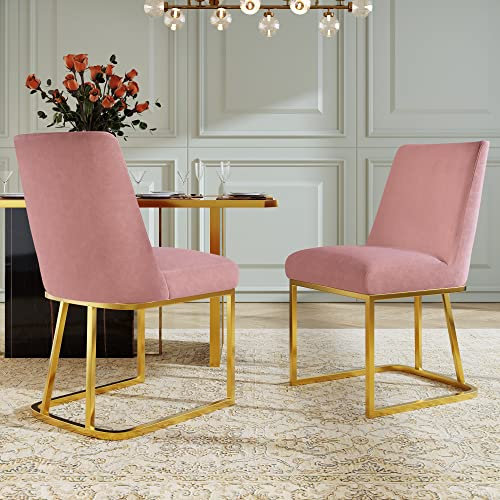 Kayan Moderne Esszimmerstühle (Set,2er), Freischwinger, Sitzfläche aus Samt, goldene Metallbeine (Rosa)