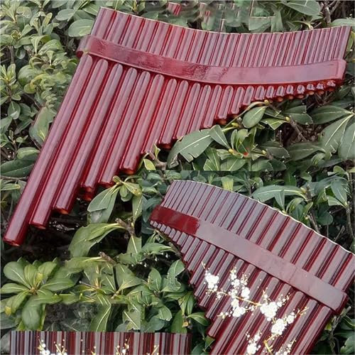 Panflöte Konzert 22 Pfeifen Panflöte Professiona Chinesische Bambus Panflöte Holzbläser Panflöte Tasche(B)