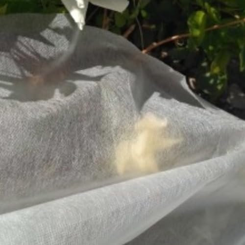 Manta térmica para Plantas 4 Metros de Ancho 20g/m² al Corte. Velo Protector Anti heladas. Protección térmica para Plantas y arbustos. Suave y Resistente.