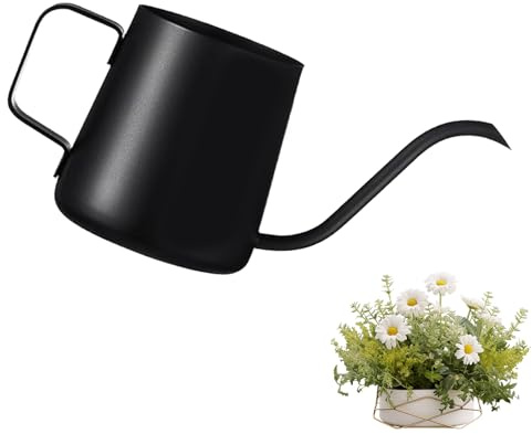 250 ML Schwarz Gießkanne Klein Zimmerpflanzen Mini Gießkanne Edelstahl Langer Auslauf Giesskanne GiesskanneZimmerpflanzen BonsaiGießkanne GartenGießkanne für Zimmerpflanzen Sukkulenten