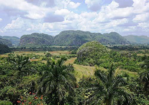 hansepuzzle 25721 - Kuba Puzzle 260 Teile | Natur Puzzle mit hochwertiger Puzzle Aufbewahrung: Kartonbox und wiederverschließbarem Beutel | Puzzle-Maße: 41 x 28,7 cm