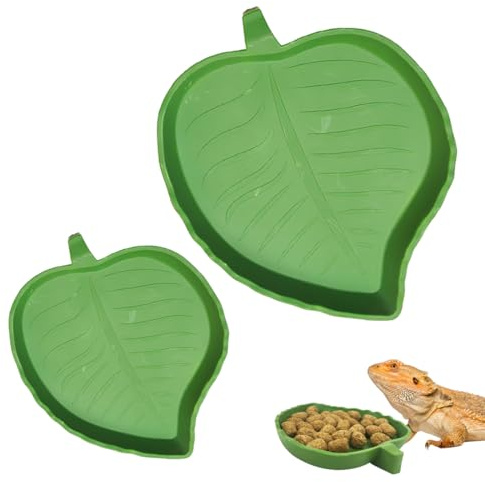 GNALIA Terrario Tortugas Tierra 2 Piezas, Cuencos Agua Y Comida Para Reptiles Verde Forma Mango, Comederos Tamaño Grande Y Pequeño