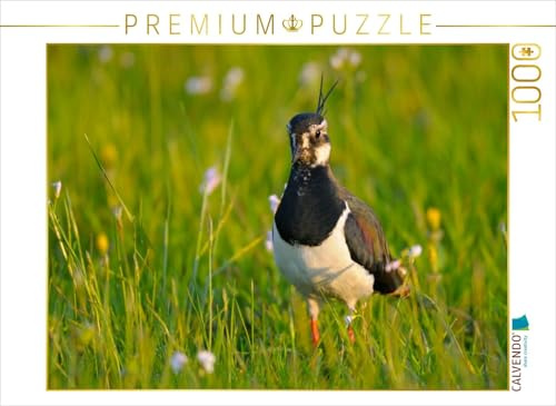CALVENDO Puzzle Kiebitz (Vanellus vanellus) 1000 Teile Puzzle quer | Lege-Größe cm Foto-Puzzle für glückliche Stunden