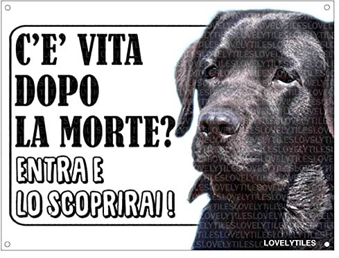 Lovelytiles Labrador Schwarze Achtung vor dem Hund ist das Leben nach dem Todes? Schild Hinweisschild (PVC)