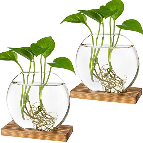 Kingbuy Maceta redonda de vidrio para terrario con soporte de madera para propagación, plantas hidropónicas, decoración del hogar, oficina, 2 unidades, marrón