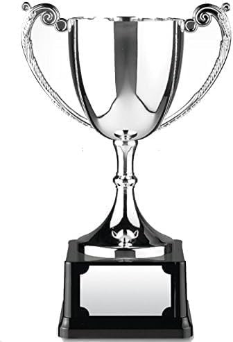 Nickel Silver Plated Trophy Cup for Sports, Corporate Events, and Personal Achievements - Premium Range Quality Endurance Trophy Award Collection (Patterned Handles, 7.75)