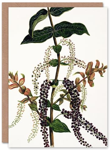 Artery8 Sarah Featon Art Card New Zealand Tutu Plant Vintage Illustration