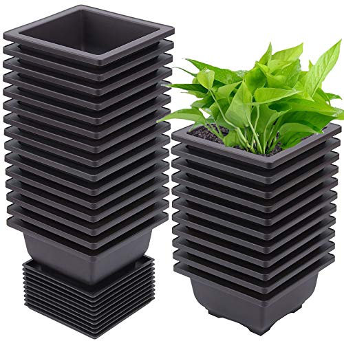 ZEONHEI 15 PCS 4.7 Inch Bonsai Training Pots, Square Plastic Plants Growing Pots, Flower Succulent Pots Container with 15 Drainage Trays for Garden, Office, Porch, Balcony, Home