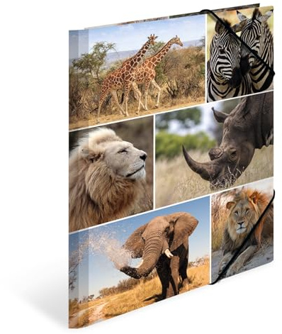 HERMA Sammelmappen A4 Löwe Set, 3 Stück, Kinder Eckspanner-Mappen aus Pappe mit Afrika Tier Motiv, Gummizug, Innenklappen und Innendruck für Jungen und Mädchen