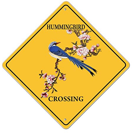 Panneau d'avertissement amusant en métal avec motif colibri et inscription « Beware of Colibri Crossing » - Résistant à la décoloration - Pour jardin, bar, cabane