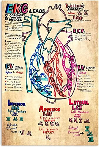 FJQWKLF Metallblechschilder „Ekg Leads Knowledge, Vintage-Stil, Ekg Leads Knowledge, Bildungsposter, Wohnzimmer, Büro, Zuhause, Wanddekoration, 30,5 x 40,6 cm
