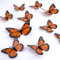 Savita 24 Stück Schmetterlings Dekoration, Künstliches Leichtgewicht Schmetterling Wanddekoration Schön 3D Monarch Schmetterling Wandaufkleber für Wandtür, Kühlschrank für Party-Geburtstagsfeiern