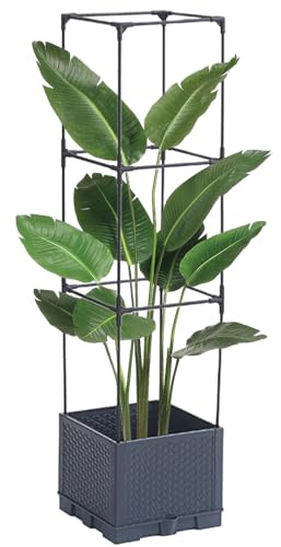 traliccio rampicante, vite di, telaio attraente, giardino di casa, stile cadente, supporto verticale, uva, verdura, balcone, rosa