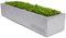 Moos-Box | Konserviertes echtes Moos in handgemachter Beton-Box | 30cm x 8cm x 6cm | GRAURAUM