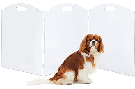 Clear Acrylic Dog Gate for The House - Freestanding Pet Barrier for Doorways, Folding 3-Panel Fence for Inside - Puppy and Cat Fence