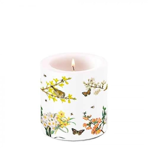 Ambiente Kerze Stumpenkerze Wachswindlicht 9 cm hoch Brenndauer ca 35h Frühlingserwachen Blumen Vögel Frühling Dekorationskerze Serie spring awakening