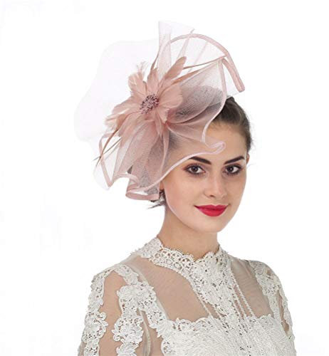Fascinator Hat Feather Mesh Net Veil Party Hat Flower Derby Hat with Clip and Hairband for Women (A1-Skin Pink)