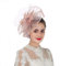 Fascinator Hat Feather Mesh Net Veil Party Hat Flower Derby Hat with Clip and Hairband for Women (A1-Skin Pink)