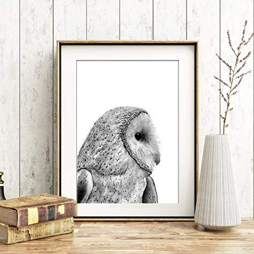 Din A4 Kunstdruck ungerahmt Eulen Eule Schleiereule Profil Grau Druck Poster Bild Geschenk