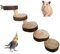 Fayemint Hamster Spielzeug Holz, Hamstertreppe Brücke, 5-Lagiges Hamstertreppe, Haustierleiter, für Hamster, Mäuse, Ratten und Papageien