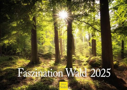 Edition Seidel Premium Kalender Faszination Wald 2025 Format DIN A3 Wandkalender Natur Bäume Wälder Wasserfall Lichtungen Waldsee Berge Täler