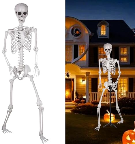 SIFOEL Halloween Plastikskelett, 240cm Ganzkörper Skelett mit beweglichen Gelenken für Halloween Innen Garten Haus Patio Dekorationen