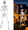Halloween Plastikskelett, 240cm Ganzkörper Halloween Skelett mit beweglichen Gelenken für Halloween Innen Garten Haus Patio Dekorationen