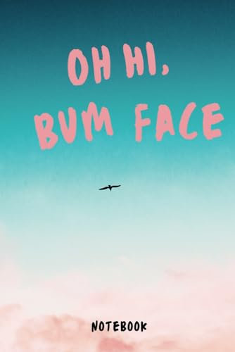 Oh Hi, Bum Face: Notebook for everyday jotting things down.