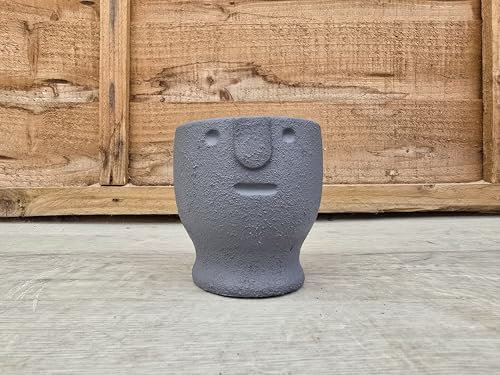 Egg Cup Face with 'Meh' Look, Decorative Pot Cover (Blue). Perfect for Gifts/Personal Use. Good for Office/Home Environment. Perfect for Cactus/Cacti and Succulents. 5.5cm Inner Diameter