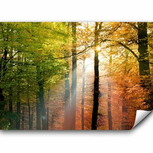 murando - Vlies Fototapete Wald 400x280cm Foto Tapete Schlafzimmer Wohnzimmer Vliestapete XXL Motivtapeten Bildtapete 3d Effekt Wand Dekoration - Bäume grün orange Natur Landschaft c-B-0444-a-a
