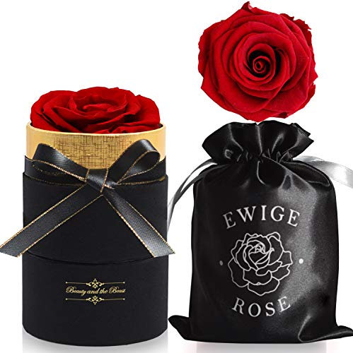 iteaauk Ewige Rosen, Infinity Rose, Echte Rosen, Die Schöne und das Biest Rose Geschenk Kit, für Valentinstag, Geburtstag, Hochzeit, Muttertag, Jubiläum, Weihnachtstag - Rot
