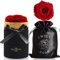 iteaauk Ewige Rosen, Infinity Rose, Echte Rosen, Die Schöne und das Biest Rose Geschenk Kit, für Valentinstag, Geburtstag, Hochzeit, Muttertag, Jubiläum, Weihnachtstag - Rot