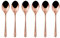 SAMBONET - Confezione Regalo 6 Cucchiaini Moka Venezia Pvd Copper