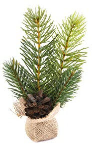 Nordstern Tannenbaum im Jutesack - Winterliche Mini Deko - Ideal ASL Tischdeko - 20 x 12,5 x 5 cm