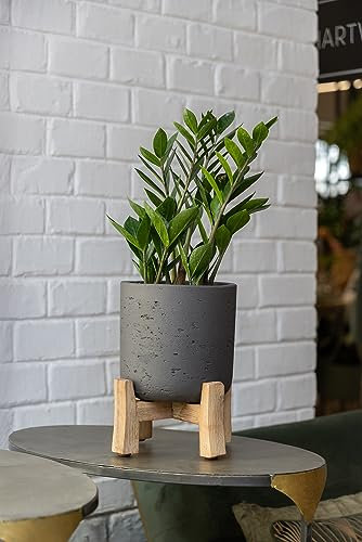 Finestgreen Charlie Feet Low | Handgefertigtes Pflanzgefäß auf Holzfüßen (XL Ø:36 H:44,5 cm, Schwarz) | Pottery Pots