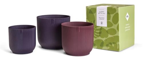 Elho The Winery Collection Coffret Cadeau - Pots de Fleurs pour l'intérieur - 100% Plastique recyclé - Ensemble de 3 - Ø 14, 16 et 18 cm. - Violet/Mauve Foncé
